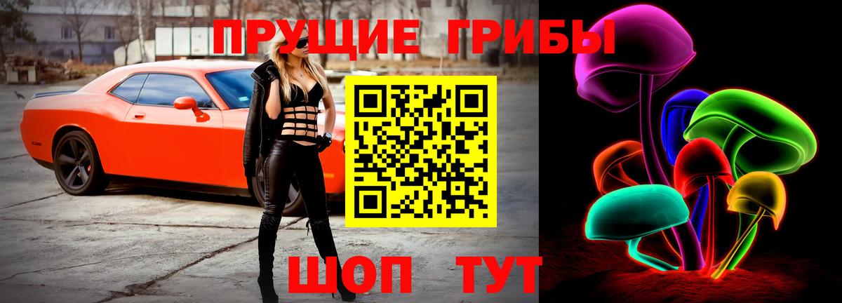 цена наркотик  Вход с VPN  Заринск  Галлюциногенные грибы Magic Shrooms  Псилоцибиновые грибы прущие грибы 